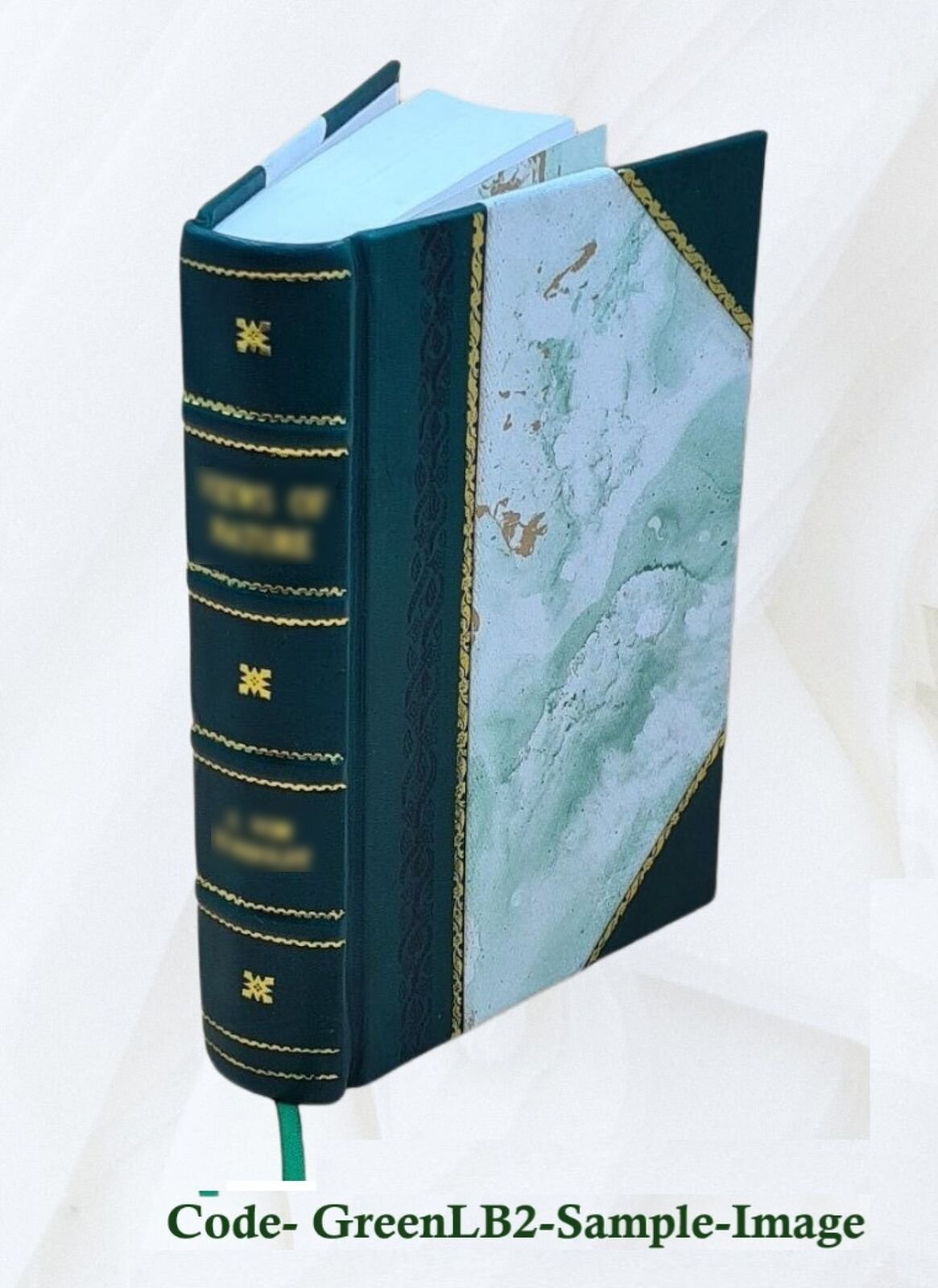 The Story Of Sigurd The Volsung And The Fall Of The Niblungs (19 [Leather Bound]