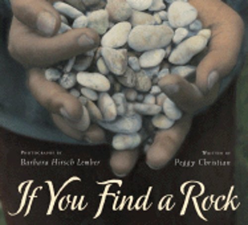 If You Find a Rock by Peggy Christian: New