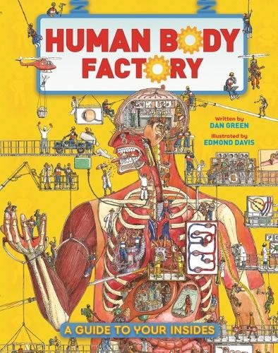 Dan Green The Human Body Factory (Paperback)