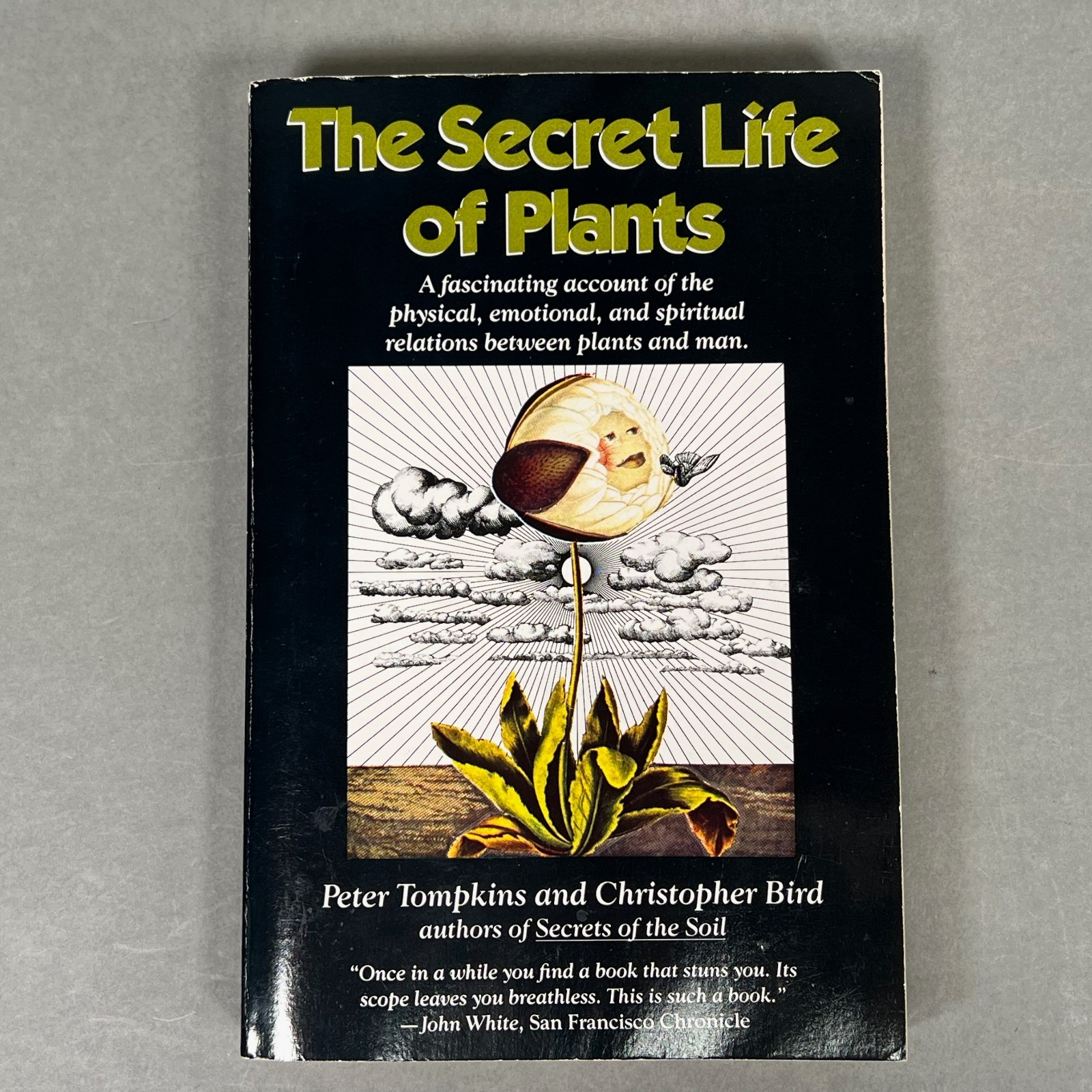 The Secret Life of Plants Second Edition Peter Tompkins And Christopher Bird