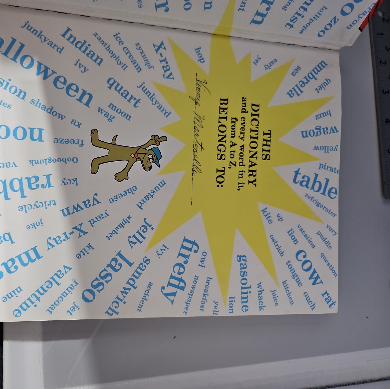 The Cat in the Hat Beginner Book Dictionary Hardcover PD Eastman 1964 “vintage”
