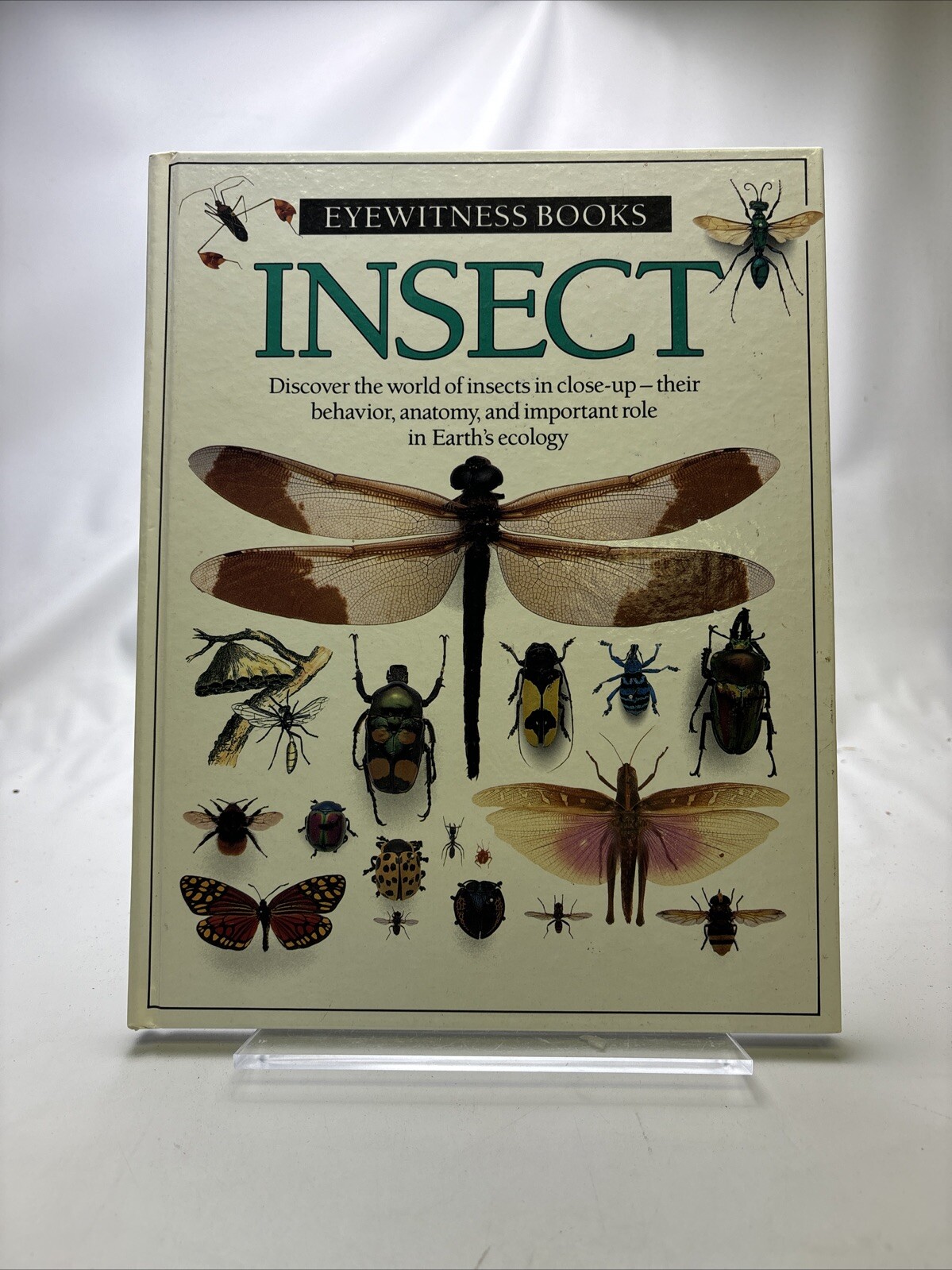 Eyewitness Bks.: Insect by Laurence A. Mound and Dorling Kindersley…