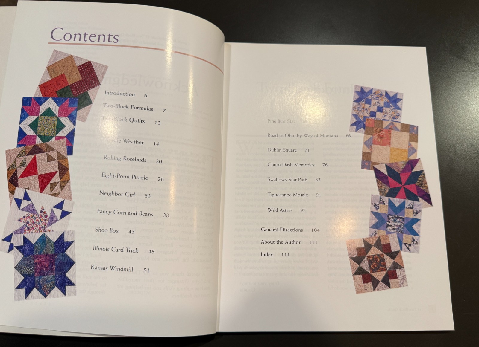 15 Two Block Quilts from C&T Publishing