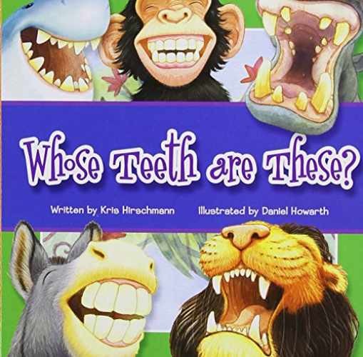 Whose Teeth Are These? (Whose Are – Board book, by Hirschmann Kris – Very Good