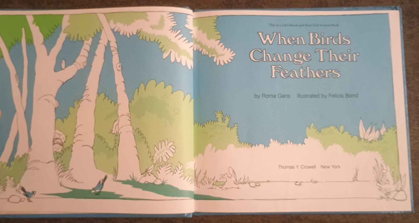 When Birds Change Their Feathers by Roma Gans – hardcover book 1980 1st edition