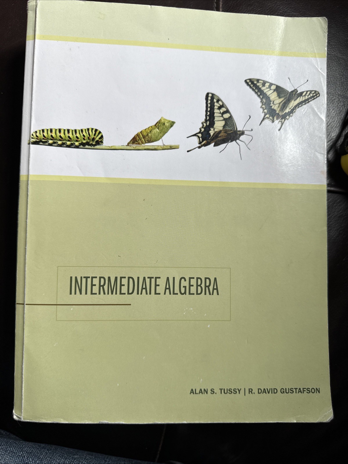 INTERMEDIATE ALGEBRA by Alan S. Tussy & R. David Gustafson Textbook Learning