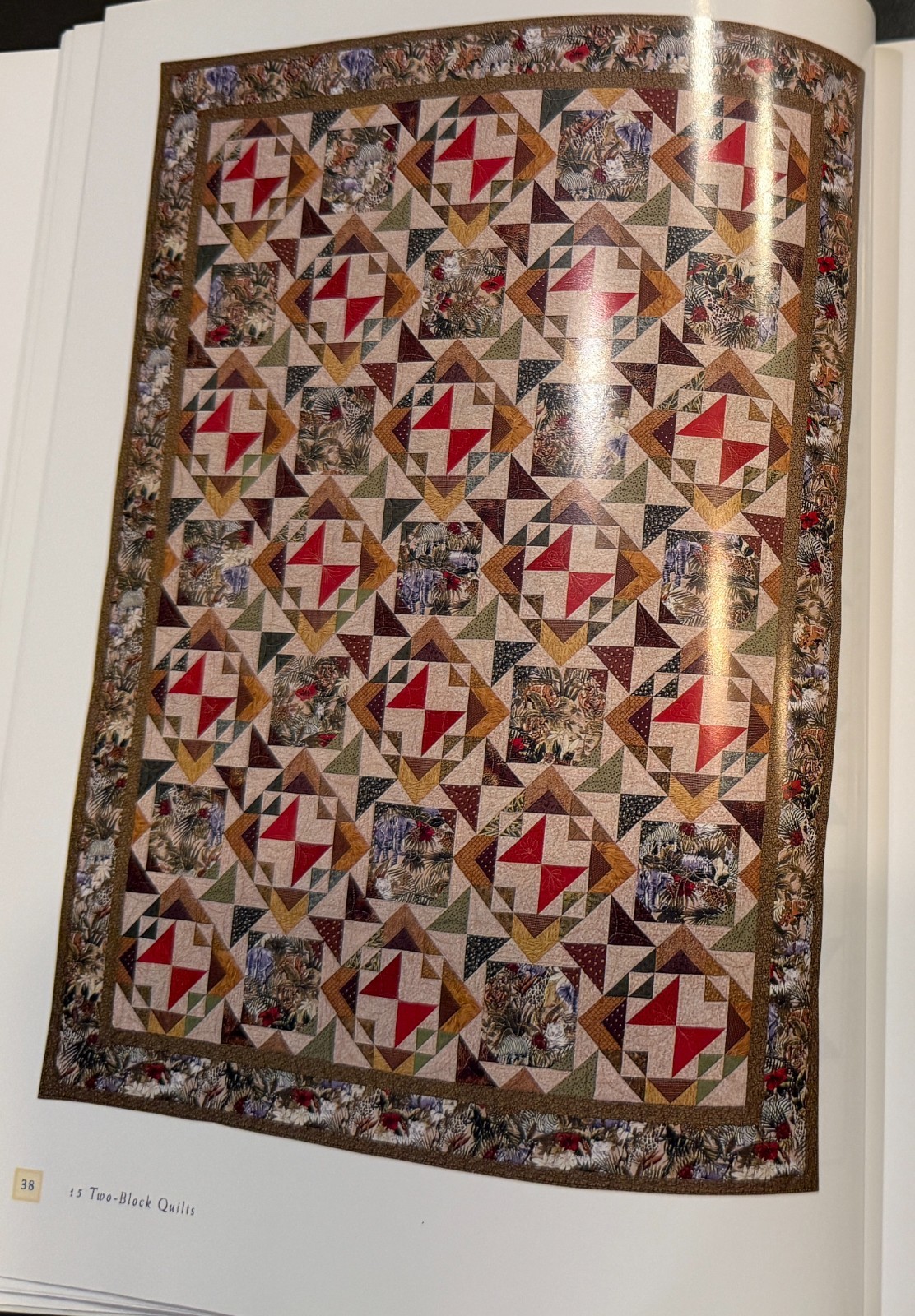 15 Two Block Quilts from C&T Publishing