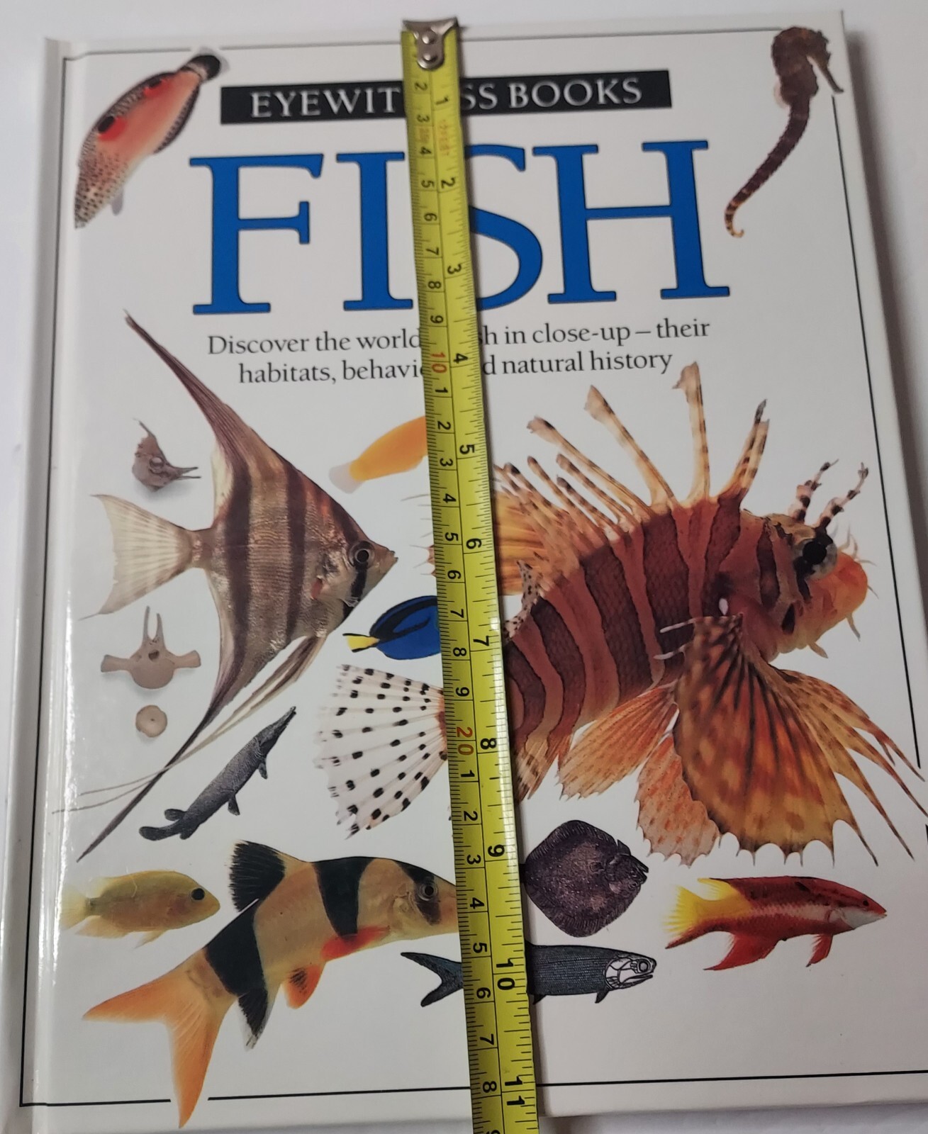 Vtg Eyewitness Bks. Fish by Steve Parker and Dorling Kindersley Publishing Staff