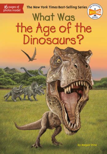 What Was the Age of the Dinosaurs? – Paperback By Stine, Megan – VERY GOOD