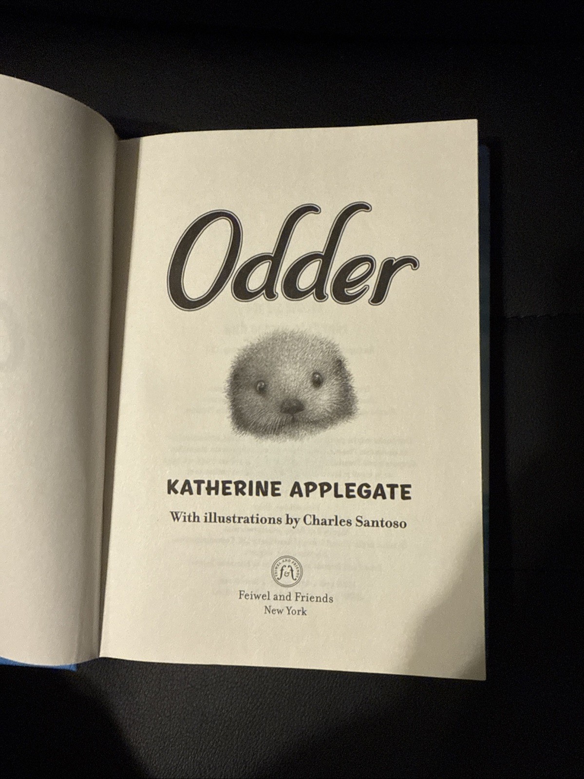 Odder: the Novel by Katherine Applegate (2022, Hardcover)