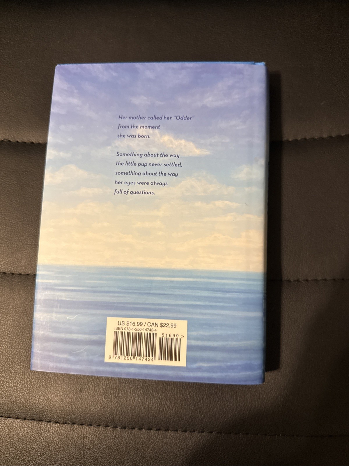 Odder: the Novel by Katherine Applegate (2022, Hardcover)