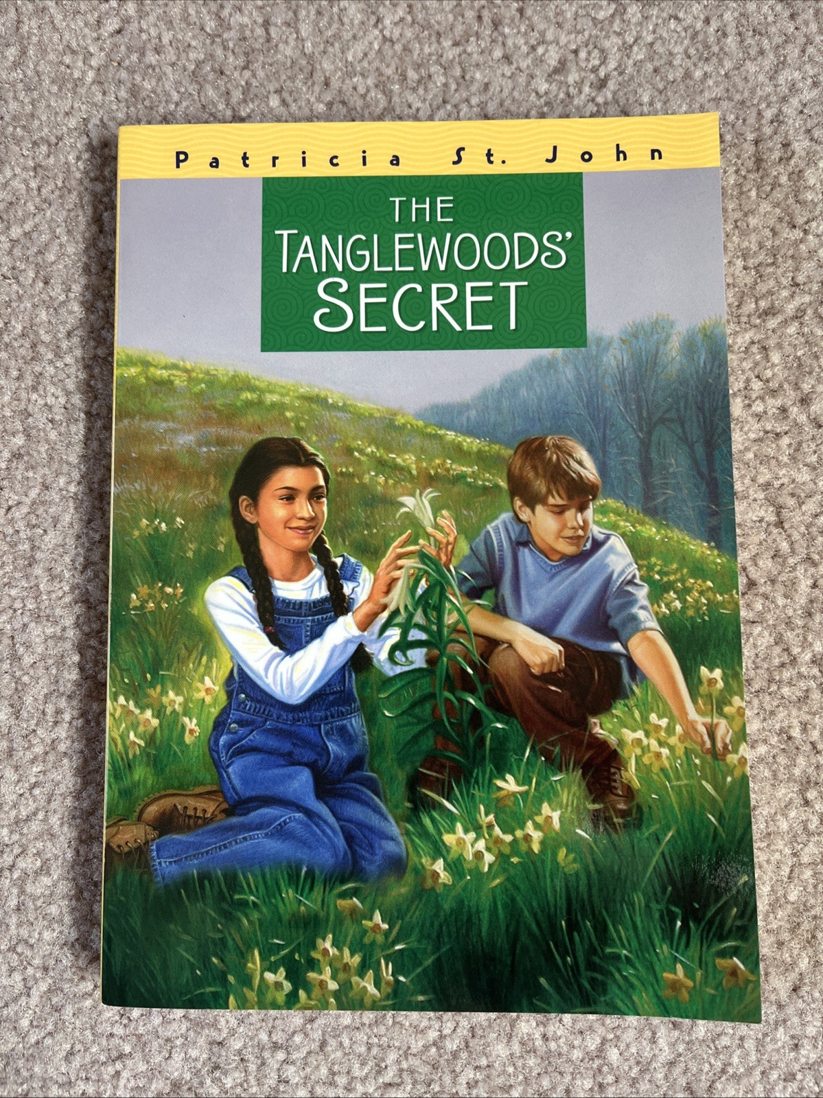 The Tanglewoods’ Secret [Patricia St John Series]