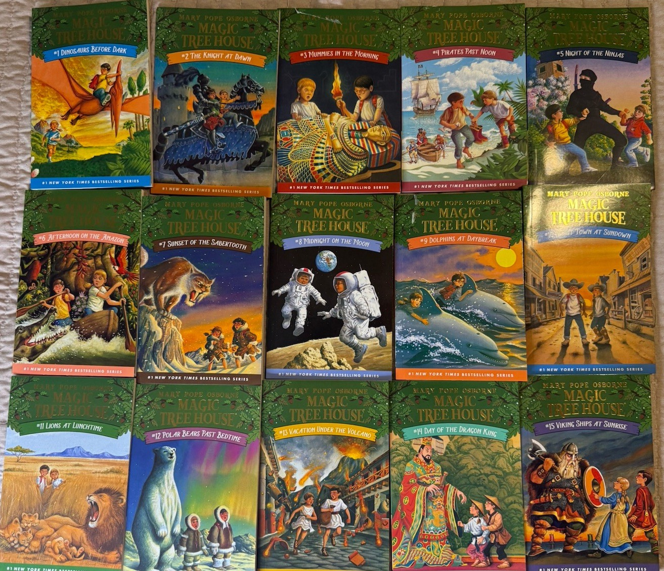 Magic Tree House 1–28 Box Set – Complete 28-Book Collection + 29,30,31
