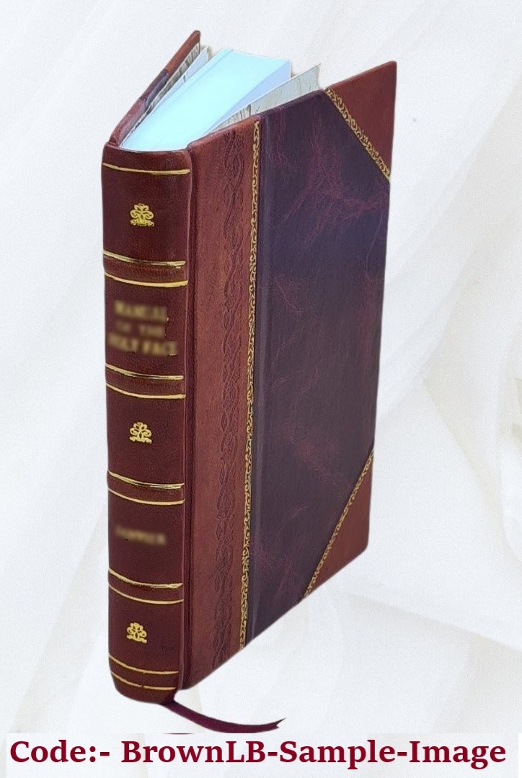 Therapeutic By-Ways; Being A Collection Of Therapeutic Measures [Leather Bound]