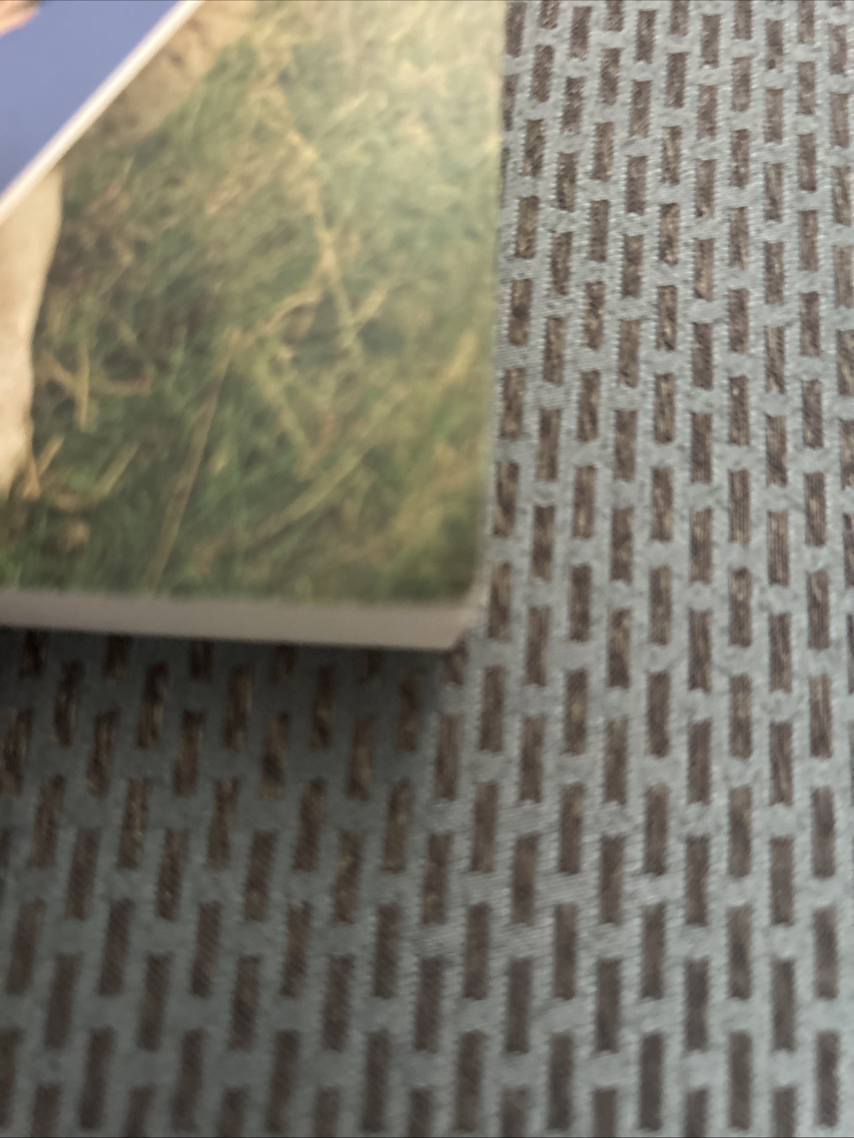 New Signed! Wolfsie in Sheep’s Clothing : How Life Pulls the Wool over Your Eyes