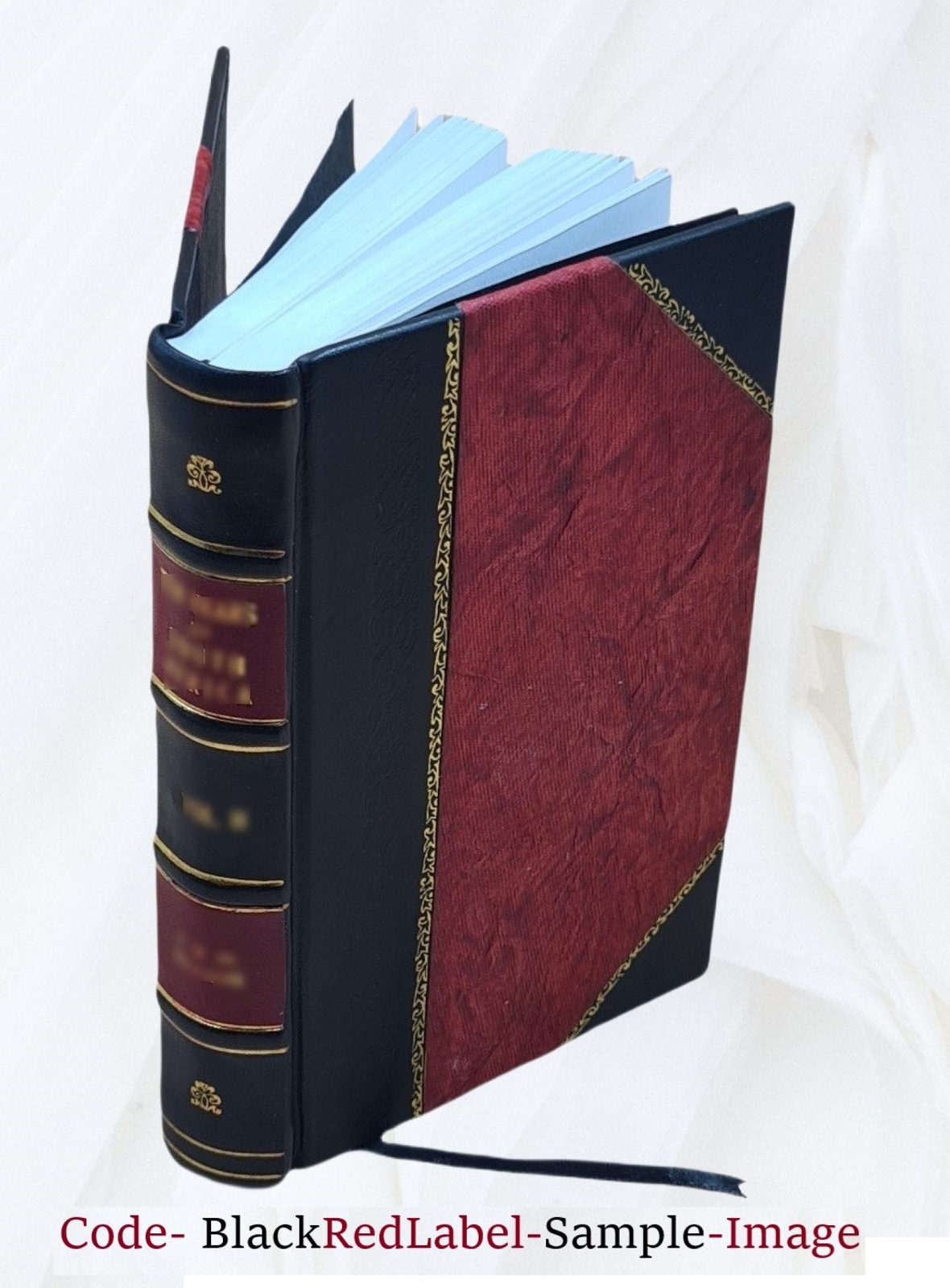 Igneous Rocks; Composition, Texture And Classification, Descript [Leather Bound]