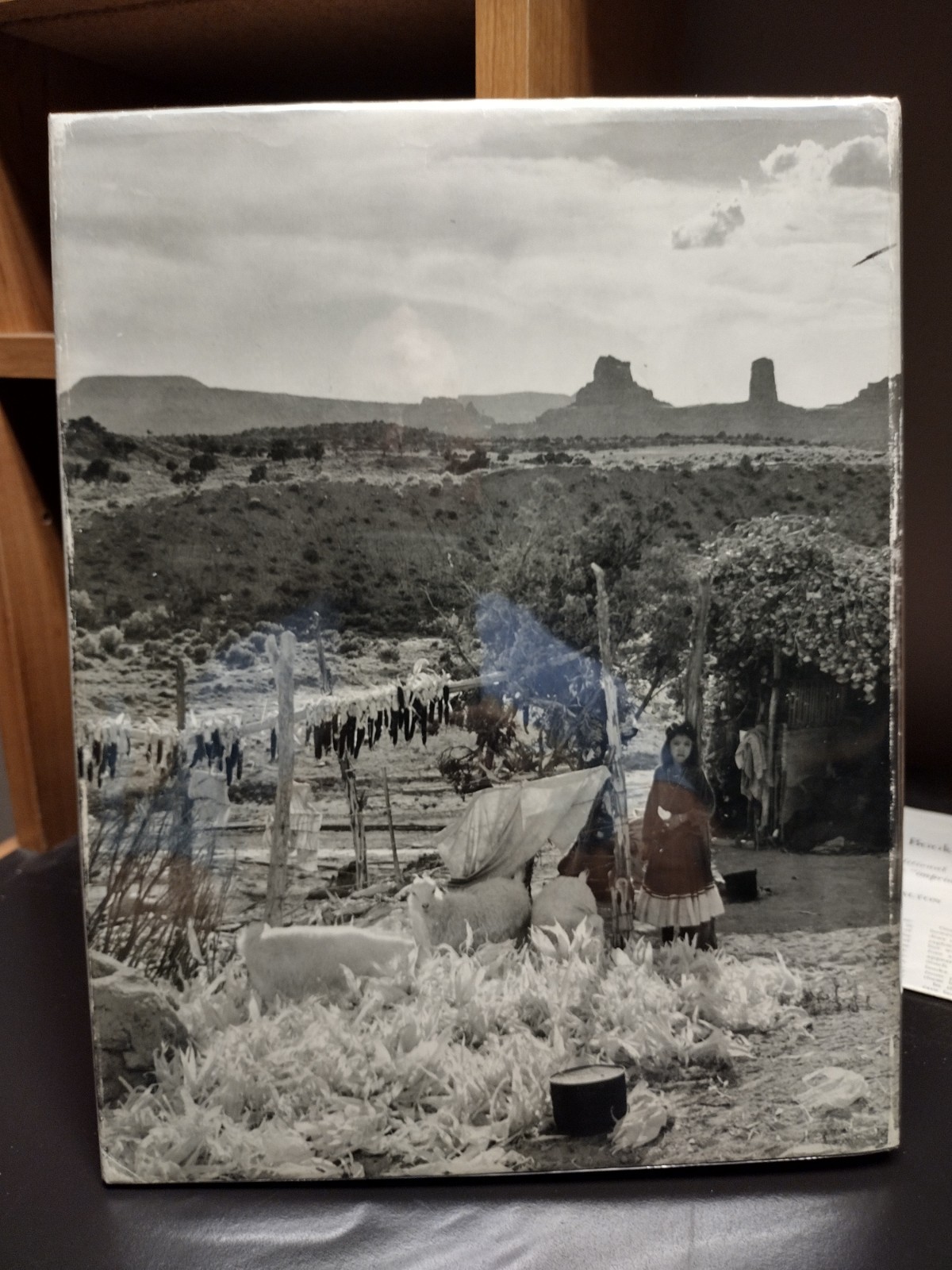 Enduring Navaho by Laura Gilpin (1987, Hardcover)