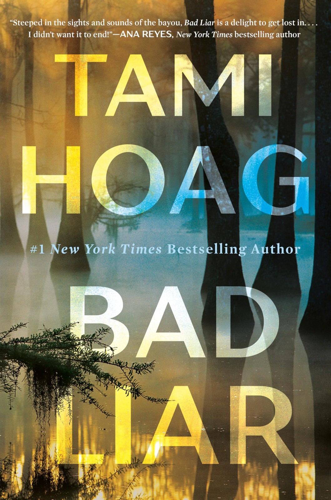 Bad Liar: A Novel – Hoag, Tami – Good – See condition notes
