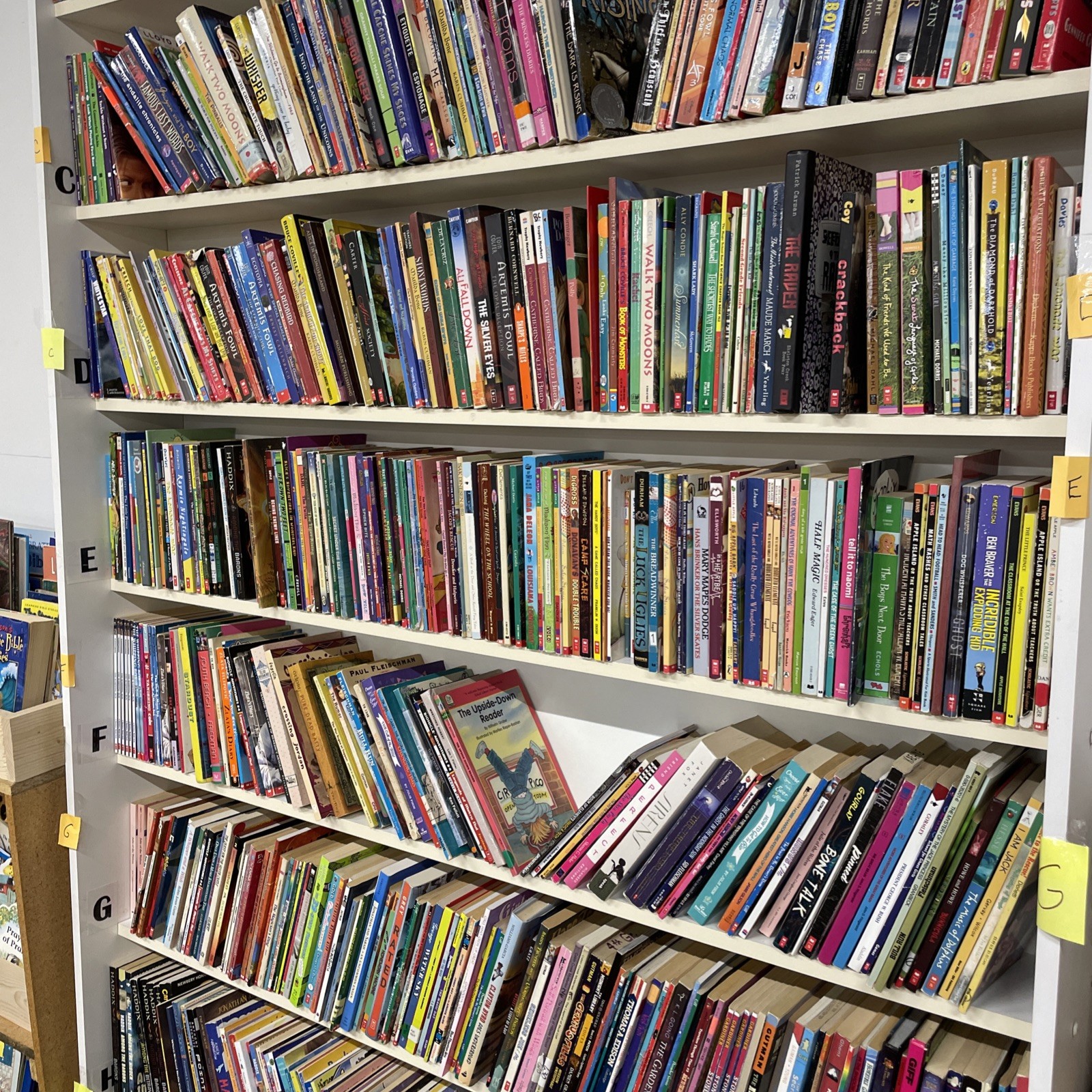 50 Children’s Paperback Chapter Books Mixed Authors Random Free Shipping!