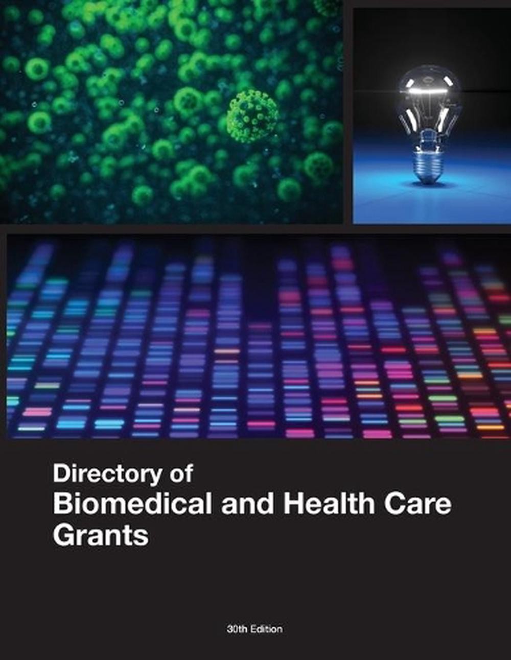 Directory of Biomedical and Health Care Grants by Louis S. Schafer (English) Pap