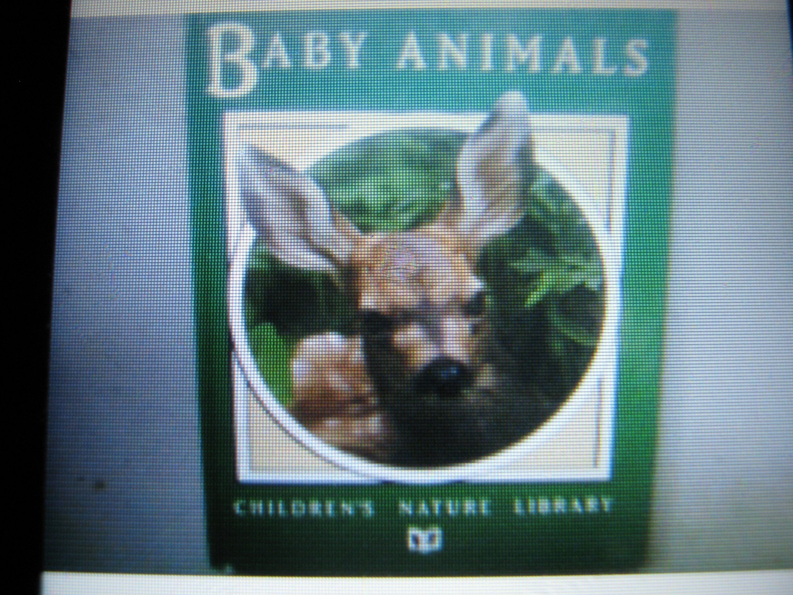 Baby Animals (Children’s Nature Library Series) By Smithmark Pub