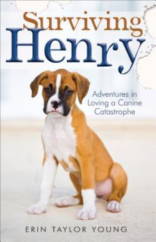 Surviving Henry: Adventures in Loving – paperback, Erin Taylor Young, 0800723562