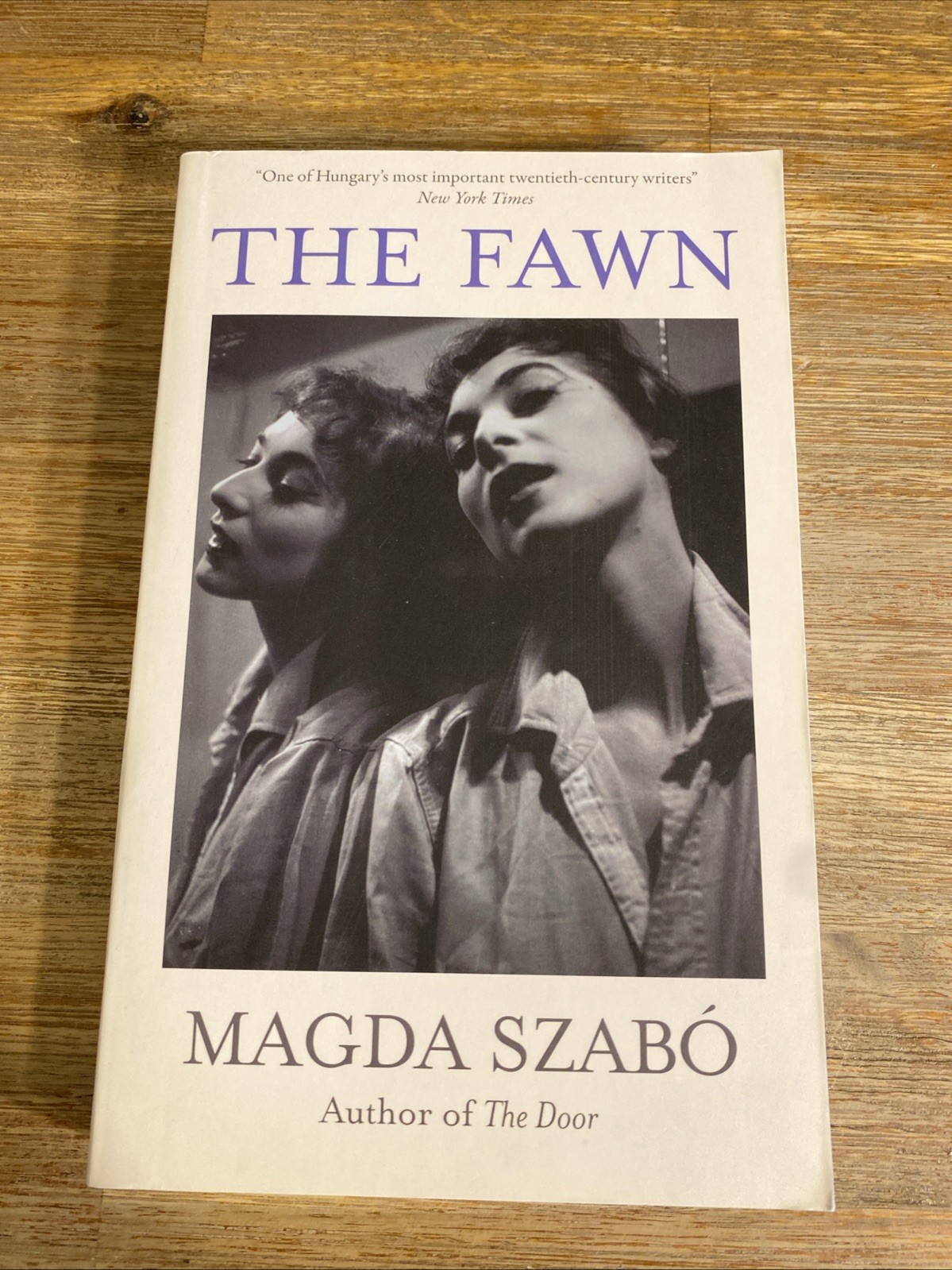 The Fawn Hachette UK Distribution Paperback Hachette UK Distribut