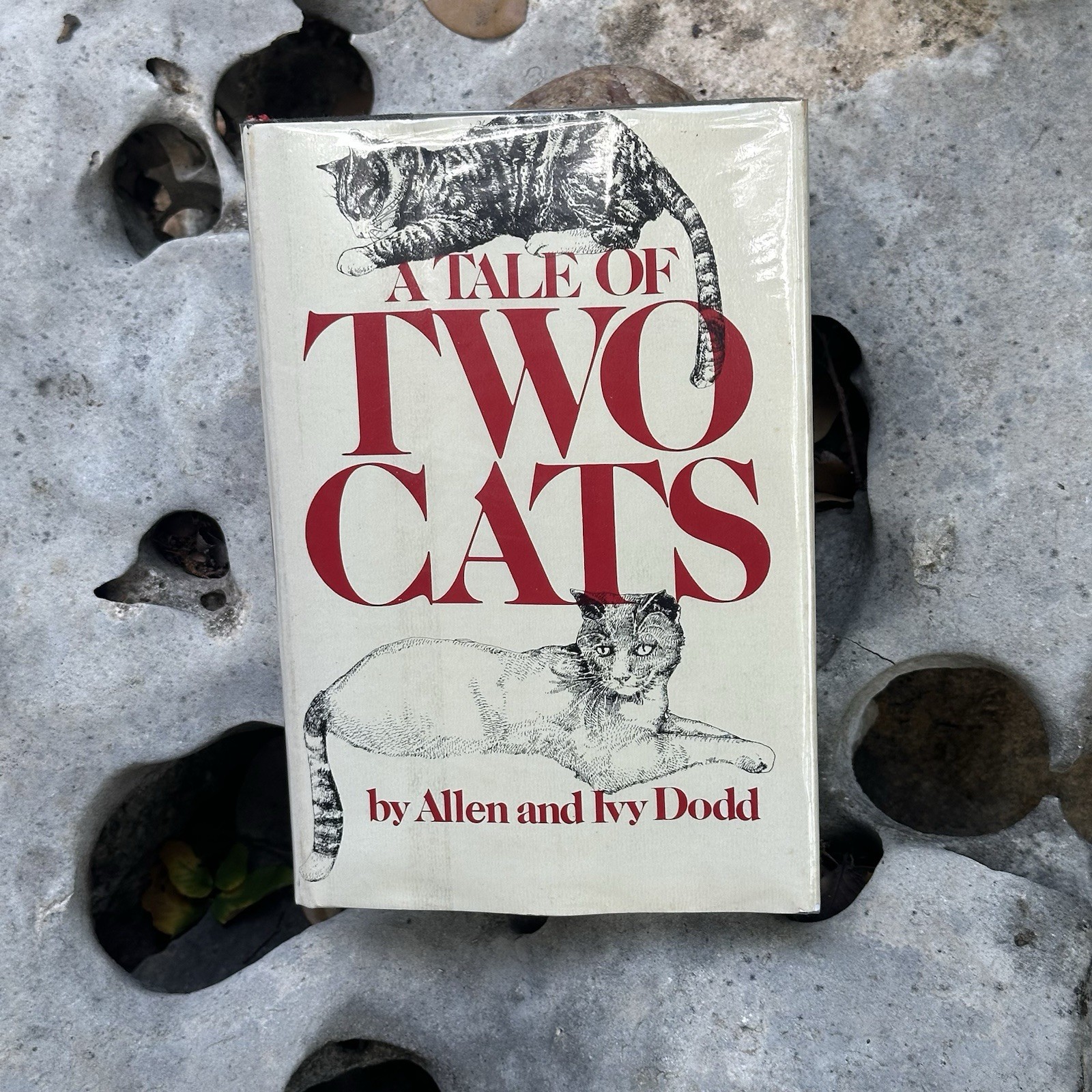 A Tale of Two Cats Allen and Ivy Dodd 1st Edition 1978 Hardcover Dust Jacket